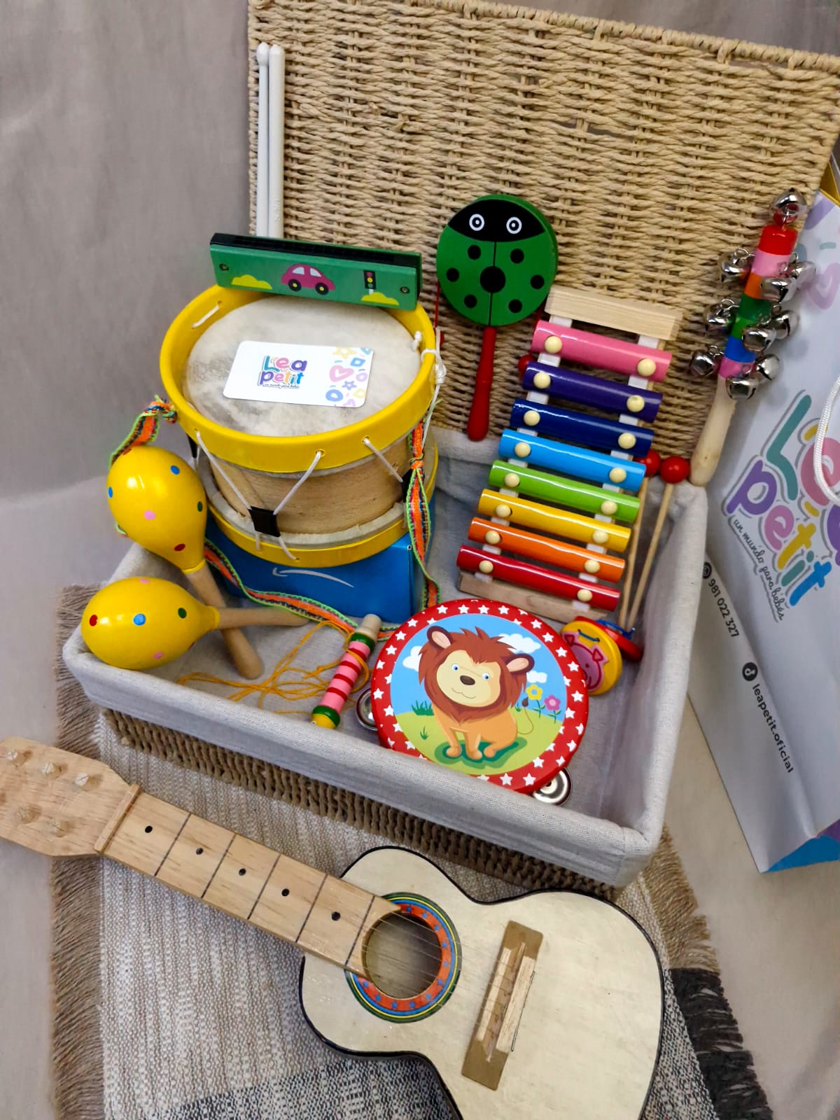 INSTRUMENTOS MUSICALES 
