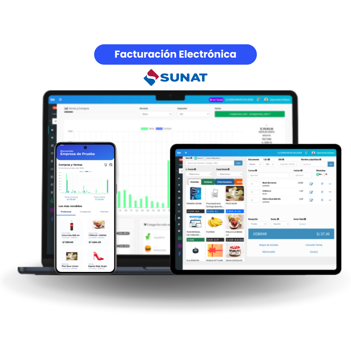 MENSUAL Facturación Electrónica + Control de Stock + Punto de Venta