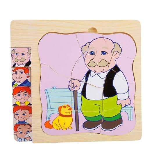 ROMPECABEZA CICLO DE VIDA VARON