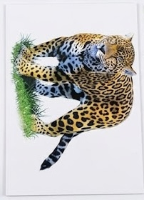 TARJETAS LEXICAS ANIMALES SALVAJES 