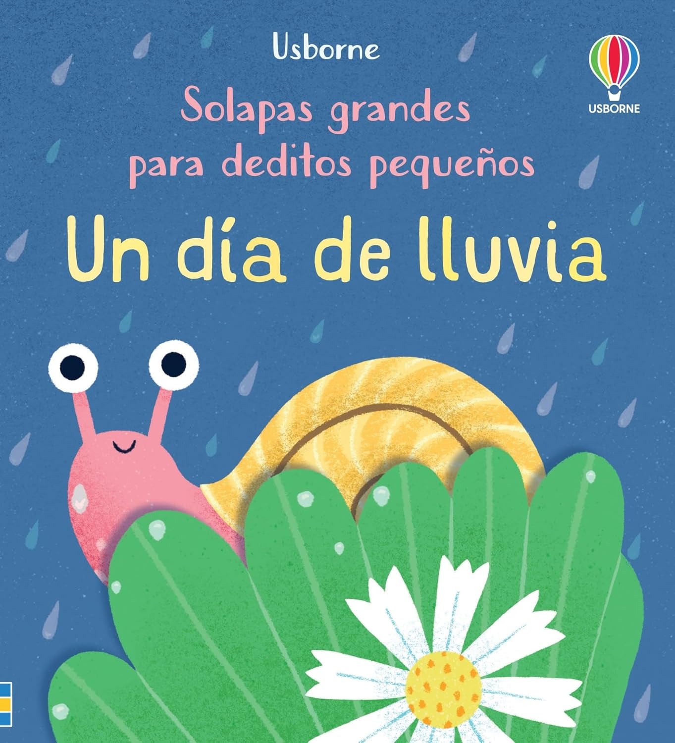 LIBRO SOLAPAS GRANDES UN DIA DE LLUVIA