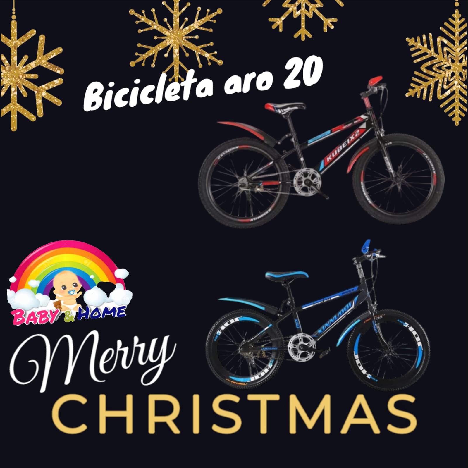 BICICLETA ARO 20