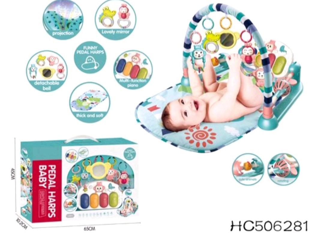 GIMNASIO PROYECTOR MONO