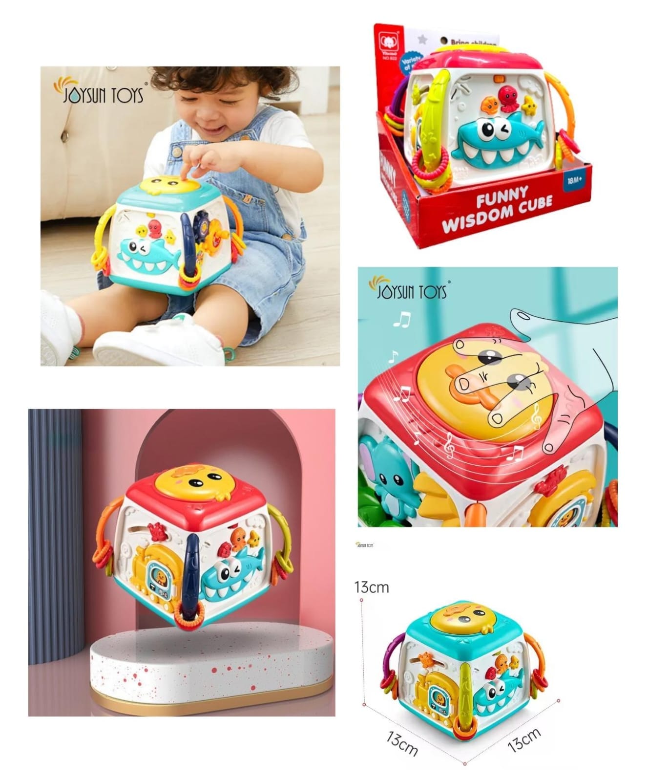 CUBO TIBURON MUSICAL 